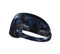 YYHHAOFA Raven in The Night Pattern Sports Headband for Women Sweat Proof Bandeau Summer Elastic Band