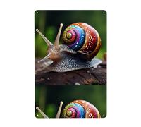 YYHHAOFA Snail in the colorful house Prints Tin decorative painting 8x12in Made of tinplate, wear-resistant and durable