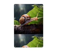 YYHHAOFA Snail on a leaf Prints Tin decorative painting 8x12in Made of tinplate, wear-resistant and durable
