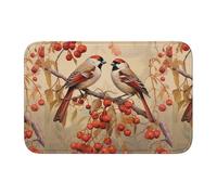 YYHHAOFA Sparrow on red Fruit Branch Printed Anti Slip and Thickened Floor mat Suitable for bathrooms, bedrooms, Washable Carpet Floor mats 16X24 in
