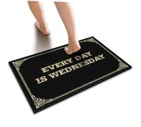 YYHLEH Friends Door Mat Every Day Is Wednesday Floor Mat Fall Decor Outdoor Man Cave Decor And Accessories(40X60CM)