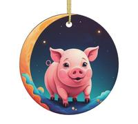 YYHWHJDE 2.9in Christmas Ceramic Ornament - Festive Round Decor | for Holiday Celebrations & Home Displays Pig On The Colorful Moon Pattern