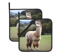 YYHWHJDE Alpaca's body display Prints Square pot mat two-piece set, insulated, thickened, waterproof, easy to clean