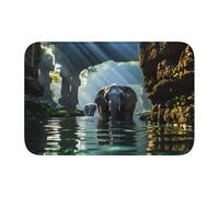 YYHWHJDE Asian Elephant in The Water Pattern Anti Slip and Thickened Floor mat Suitable for bathrooms, bedrooms, Washable Carpet Floor mats 16X24 in