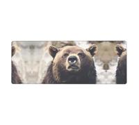 YYHWHJDE Bear in the Wild Prints Mouse Pad 12x31.5in