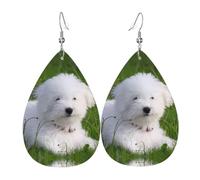 YYHWHJDE Bichon on the grass Prints Teardrop Leather Earrings - Fashionable Dangle Earrings for Women, Lightweight Faux Leather Drops with 925 Silver Plated Hooks