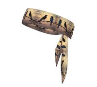 YYHWHJDE Black Crow Birds Pattern Sports Double-Sided Headscarf Quick Drying, Moisture Wicking for Women, Girls, and Men