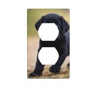 YYHWHJDE Black Labrador Puppy Pattern Double Socket Wall Panel Decorative is Durable and Suitable for Socket Light Switch Accessories 4.5x2.76in