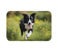 YYHWHJDE Border Collie Picture Anti slip and thickened floor mat suitable for bathrooms, bedrooms, washable carpet floor mats 16X24 in