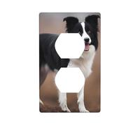 YYHWHJDE Border Collie Picture Double Socket Wall Panel Decorative is Durable and Suitable for Socket Light Switch Accessories 4.5x2.76in