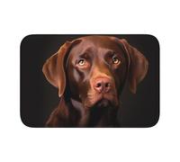 YYHWHJDE Brown Labrador Retriever Picture Anti Slip and Thickened Floor mat Suitable for bathrooms, bedrooms, Washable Carpet Floor mats 16X24 in