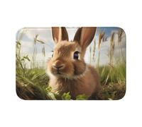YYHWHJDE Bunny on Green Grass Picture Anti Slip and Thickened Floor mat Suitable for bathrooms, bedrooms, Washable Carpet Floor mats 16X24 in