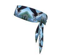 YYHWHJDE Cartoon Eagle Prints Sports headscarf, sweat absorbing and breathable, motion headband, double-sided kerchief