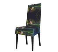 YYHWHJDE Chalet by the lake Prints Dining Chair Throw Covers - Stretchable Polyester Blend Protects Your Chairs with Easy Style & Easy Care