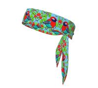 YYHWHJDE Colorful Birds Prints Sports headscarf, sweat absorbing and breathable, motion headband, double-sided kerchief