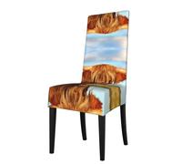 YYHWHJDE Cows In The Field Prints Dining Chair Throw Covers - Stretchable Slipcovers, Revitalize Your Chairs Instantly
