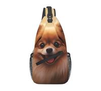 YYHWHJDE Cross Chest Bag Diagonally - Quality, Durable, and Spacious Shoulder Bag for Men and Women cute pomeranian Prints, Black, One Size