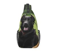 YYHWHJDE Cross Chest Bag Diagonally - Quality, Durable, and Spacious Shoulder Bag for Men and Women labrador retriever Dogs Picture, Black, One Size