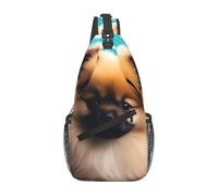 YYHWHJDE Cross Chest Bag Diagonally - Quality, Durable, and Spacious Shoulder Bag for Men and Women Pomeranians Puppies and Point Picture, Black, One Size