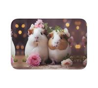 YYHWHJDE Cute Guinea Pigs Picture Anti Slip and Thickened Floor mat Suitable for bathrooms, bedrooms, Washable Carpet Floor mats 16X24 in