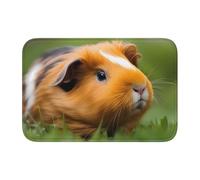YYHWHJDE Cute Guinea Pigs Picture Anti slip and thickened floor mat suitable for bathrooms, bedrooms, washable carpet floor mats 16X24 in