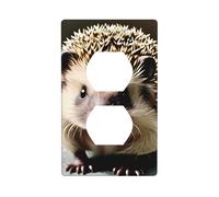 YYHWHJDE Cute Hedgehog Pattern Double Socket Wall Panel Decorative for Residential and Commercial Areas 4.5x2.76in