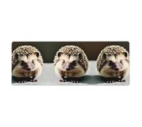 YYHWHJDE Cute Hedgehog Prints Extra Large Mouse pad Mousepad 12x31.5in for Office Gaming Learning