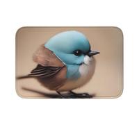 YYHWHJDE Cute Little Bird Picture Anti Slip and Thickened Floor mat Suitable for bathrooms, bedrooms, Washable Carpet Floor mats 16X24 in