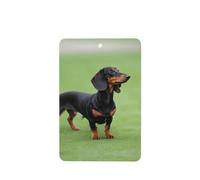 YYHWHJDE dachshund picture Rectangle Car Air Fresheners Cards Four-pack : Hanging Scented Cards for bedroom Bathroom Car Interior Decor