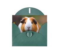 YYHWHJDE Dark Green Greeting Card Guinea Pigs Pattern for Christmas, Children's Birthday, Valentine's Day, and Party Invitation