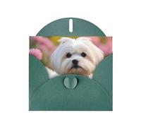 YYHWHJDE Dark Green Greeting Card Lovely Maltese Dog Prints for Christmas, Children's Birthday, Valentine's Day, and Party Invitation