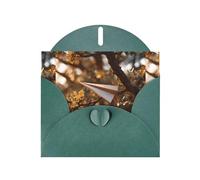 YYHWHJDE Dark Green Greeting Card Paper Plane On A Branch Pattern Perfect for Valentine's Day, Wedding Anniversary & Party Invitations