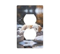 YYHWHJDE Dog on The Rock Pattern Double Socket Wall Panel Decorative for Residential and Commercial Areas 4.5x2.76in