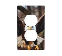YYHWHJDE Eagle Flying in The Sky Prints Double Socket Wall Panel Decorative for Residential and Commercial Areas 4.5x2.76in
