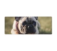 YYHWHJDE French Bulldog Dog Cute Prints Extra Large Mouse pad Mousepad 12x31.5in for Office Gaming Learning