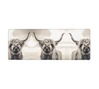YYHWHJDE Funny Highland Cow Extra Large Desk Throw