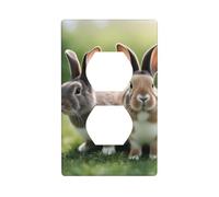 YYHWHJDE Funny Rabbits Pattern Double Socket Wall Panel Decorative for Residential and Commercial Areas 4.5x2.76in