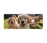 YYHWHJDE Golden Retriever Puppies Prints Extra Large Mouse pad Mousepad 12x31.5in for Office Gaming Learning
