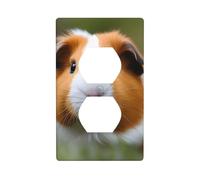 YYHWHJDE Guinea Pigs Picture Double Socket Wall Panel Decorative is Durable and Suitable for Socket Light Switch Accessories 4.5x2.76in