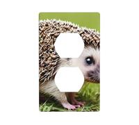 YYHWHJDE Hedgehog Polkadot Pattern Double Socket Wall Panel Decorative is Durable and Suitable for Socket Light Switch Accessories 4.5x2.76in