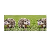 YYHWHJDE Hedgehog Polkadot Picture Extra Large Mouse Pad, Computer Office Anti Slip Gaming Keyboard Thickened Version 12x31.5in