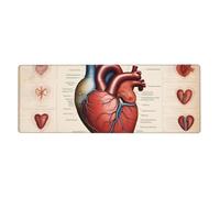 YYHWHJDE Human Anatomy Heart Chart Pattern Extra Large Mouse Pad, Computer Office Anti Slip Gaming Keyboard Thickened Version 12x31.5in