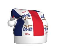 YYHWHJDE Iowa state flag Prints Christmas hat for Adult Suitable for Halloween, Christmas and New Year wear