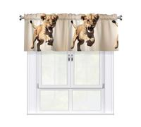 YYHWHJDE Leaping Lion Cub Prints Kitchen Tier Curtains 54x18 - Peach Skin Window Layers for Soft Light & Easy Style