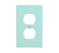 YYHWHJDE Light Blue Picture Double Socket Wall Panel Decorative is Durable and Suitable for Socket Light Switch Accessories 4.5x2.76in
