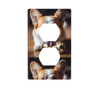 YYHWHJDE Little Corgi Chewing Bones Picture Double Socket Wall Panel Decorative is Durable and Suitable for Socket Light Switch Accessories 4.5x2.76in