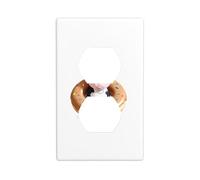 YYHWHJDE Little Cow on a Donut Prints Double Socket Wall Panel Electrical Socket Cover Plate Shatter Decoration Durable 4.5x2.76in