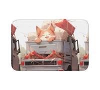YYHWHJDE Little Orange cat Having a Ride Pattern Anti Slip and Thickened Floor mat Suitable for bathrooms, bedrooms, Washable Carpet Floor mats 16X24 in