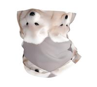 YYHWHJDE Little White Dogs Pattern Prints Multifunctional Sport Headband: The Great Adventure Throw for Hiking, Biking & More!