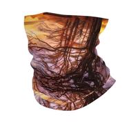 YYHWHJDE Lonely Bench Sunset Prints Multifunctional Sport Headband: The Great Adventure Throw for Hiking, Biking & More!